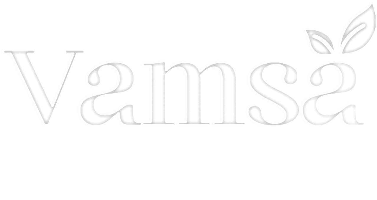 Alefox HTML Template